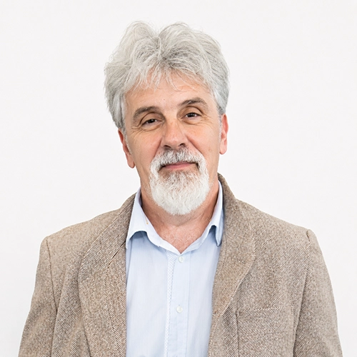 Dan Vasile